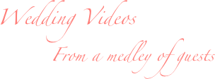 Wedding Videos
From a medley of guests